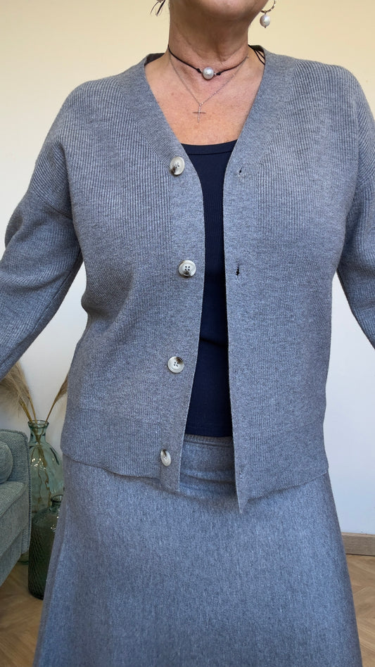 Magrit knitted skirt